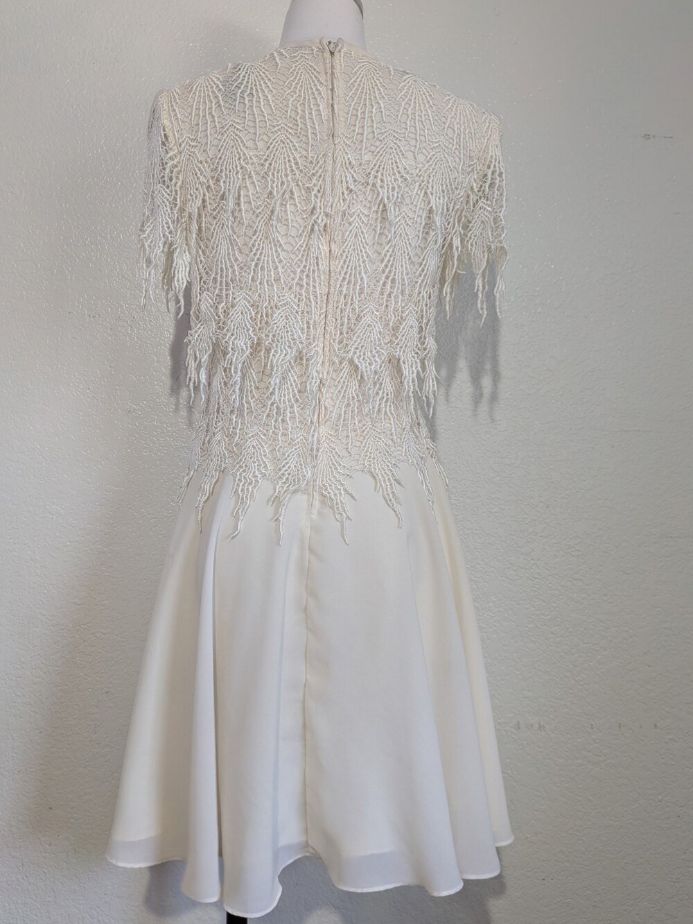 Night Way Collections Cream Lace Dress with Embroidery Fringe Details 10 Petite - Picture 4 of 10